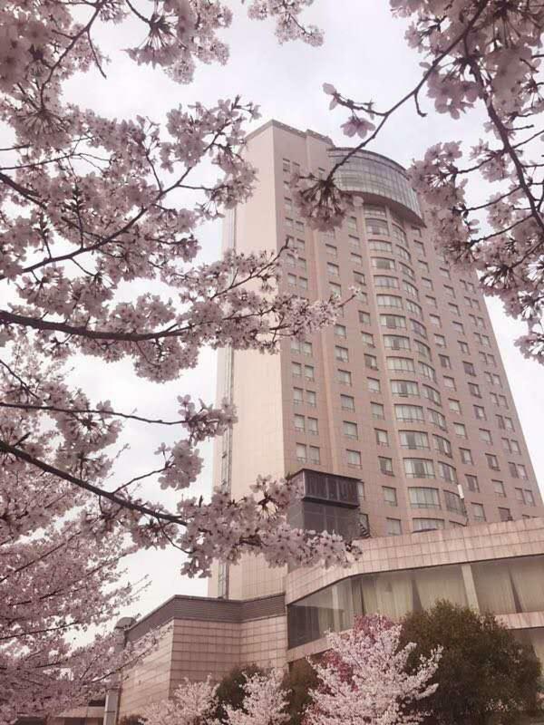 Xiongchu International Hotel Vuhan Dış mekan fotoğraf